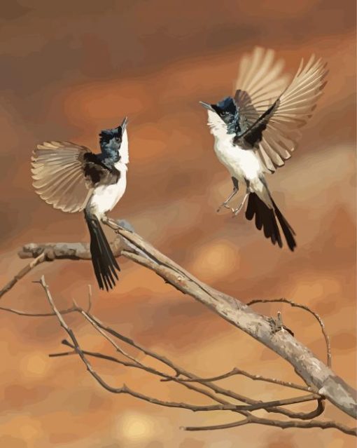 Paperback Flycatcher Birds paint by number