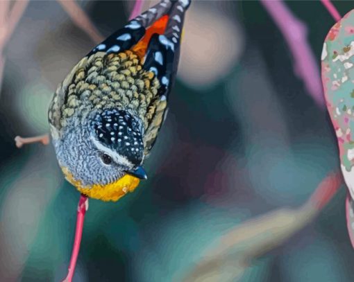 Pardalote Bird On A Branch paint by number