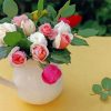 Pink And White Roses In Vase paint by number