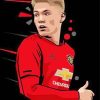 Scott Mctominay Art paint by number