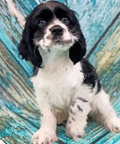 The Black And White Cocker Spaniel Puppy paint by number