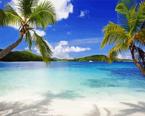 US Virgin Islands Tropical Beach paint by number