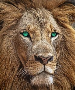 Wild Lion With Green Eyes paint by number