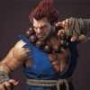 Akuma Street Fighter Character paint by number