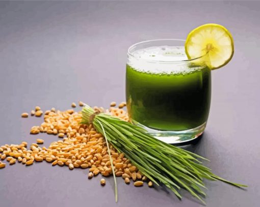 Delicious Wheatgrass Juice paint by number