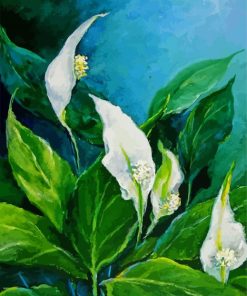 Peace Lily paint by number