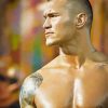 Randy Orton paint by number