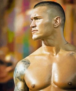 Randy Orton paint by number