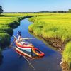 Salt Marsh paint by number