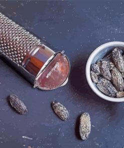 Tonka Beans With Grater paint by number