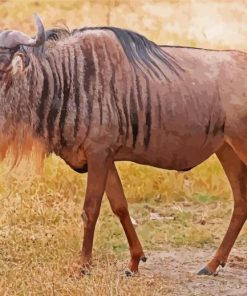 Wildebeest paint by number