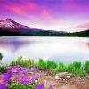 Wonderful Lake And Flowers paint by number