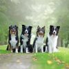 4 Friends Dogs paint by number