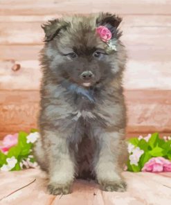 Aesthetic Keeshond Puppy paint by number