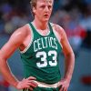 Basketball Player Larry Bird paint by number