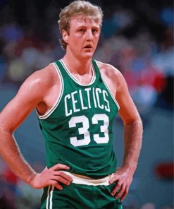 Basketball Player Larry Bird paint by number