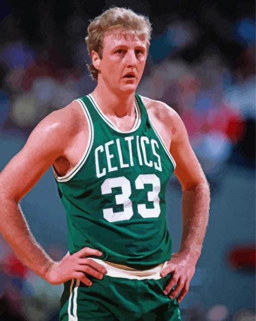 Basketball Player Larry Bird paint by number