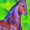 Bay Horse Art paint by number