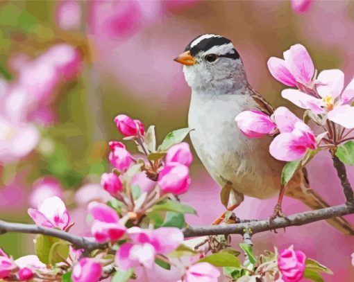 Birds And Blossom paint by number