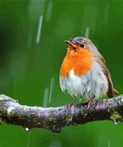 Bird In Rain paint by number