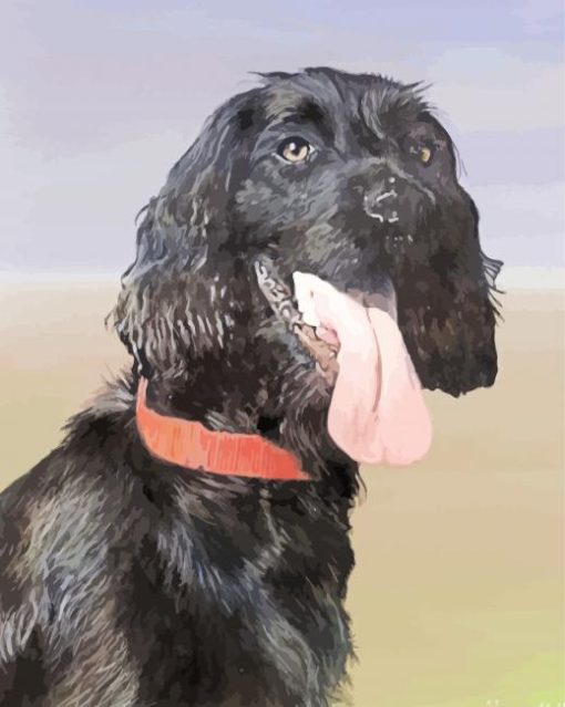 Black Cocker Spaniel Dog paint by number