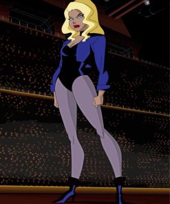 Black Canary Superhero paint by number