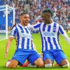 Brighton And Hove Albion FC Players paint by number