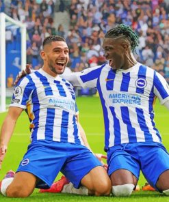 Brighton And Hove Albion FC Players paint by number