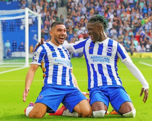 Brighton And Hove Albion FC Players paint by number