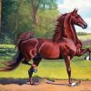 Brown American Saddlebred Horse paint by number