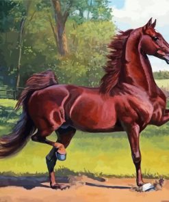 Brown American Saddlebred Horse paint by number