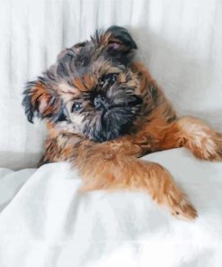 Brussels Griffon Sleeping paint by number