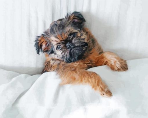 Brussels Griffon Sleeping paint by number