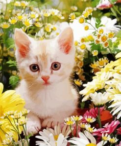 Cat And Flowers paint by number