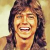 David Cassidy Art paint by number