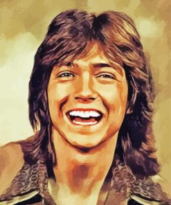 David Cassidy Art paint by number