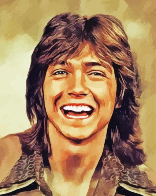 David Cassidy Art paint by number