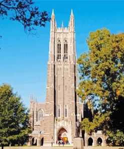 Duke University paint by number