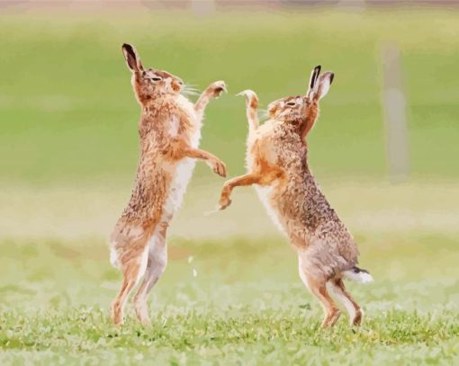 Fighting Hares paint by number