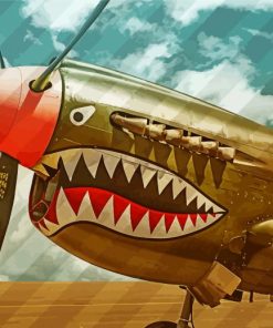 Flying Tigers paint by number