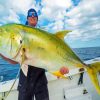 Green Jack Trevally Fish paint by number