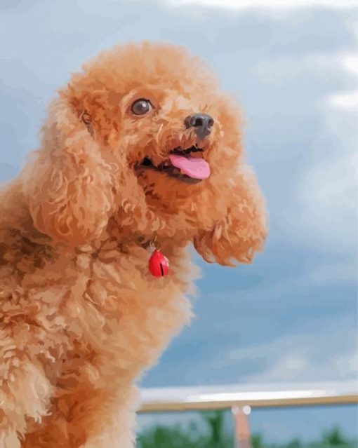 Happy Poodle paint by number