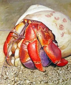 Hermit Crab paint by number