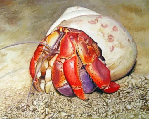 Hermit Crab paint by number