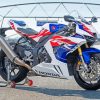 Honda Fireblade paint by number