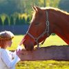 Horse With Human paint by number