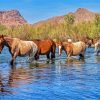 Horses Crossing The River paint by number