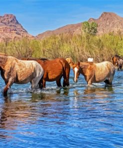 Horses Crossing The River paint by number