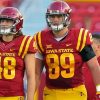 Iowa State Cyclones Players paint by number