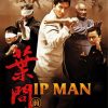 Ip Man Learn Master Achieve Poster paint by number